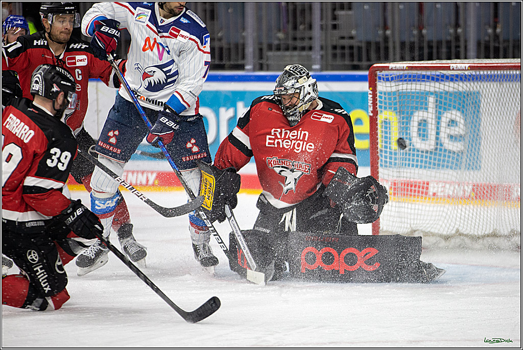 PENNY DEL; Koelner Haie- Adler Mannheim; Koeln, 02.01.2022